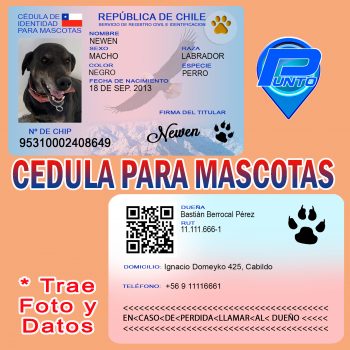 Credencial Institucional Bienvenidos A Punto Servicios Tu Soluci N