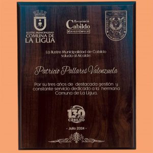 Retablo MDF Enchapado 23x30cm Walnut